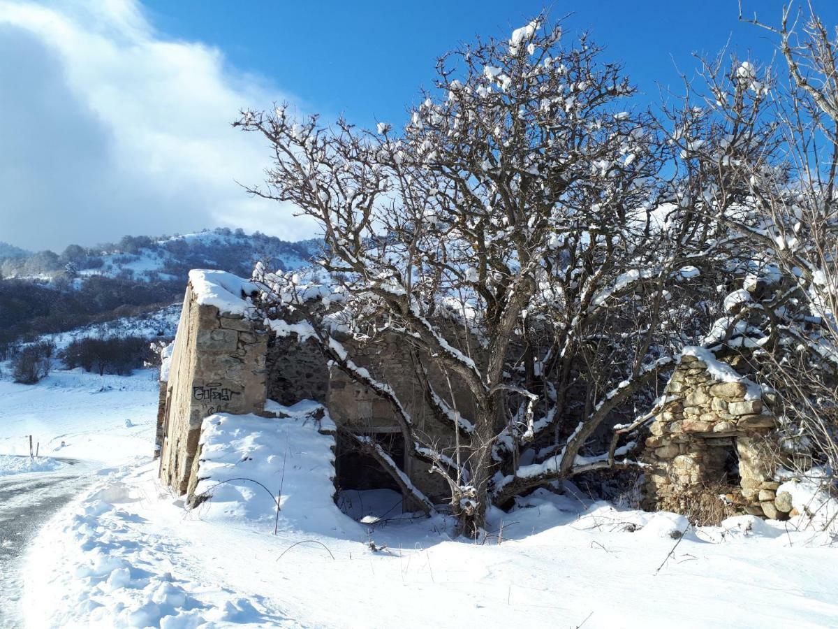 Chalet Mont Canigo Villa Corneilla-de-Conflent Bagian luar foto